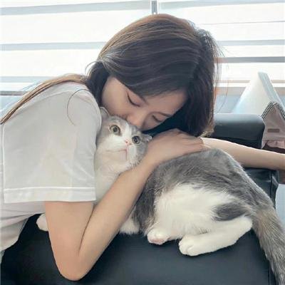 狗狗监护权